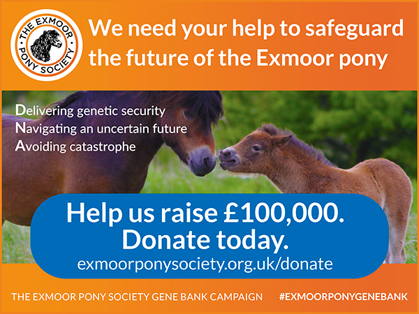 Exmoor Pony Society Gene Bank
