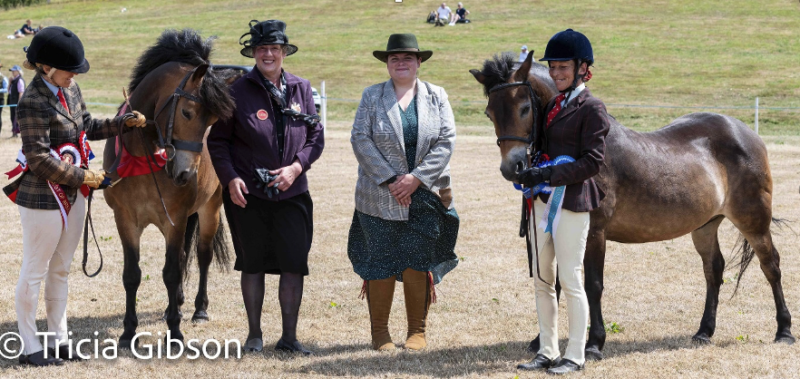 exmoor area show 2025
